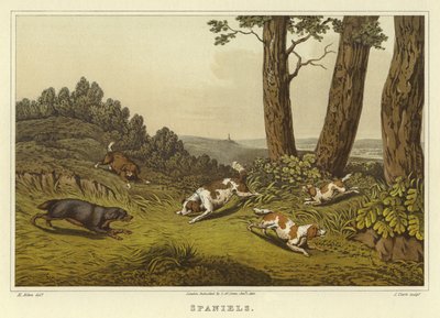 Spaniels de Henry Thomas Alken